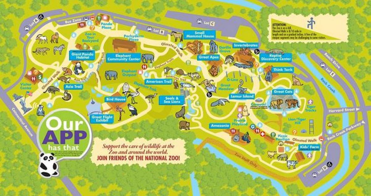 kebun binatang nasional washington dc peta